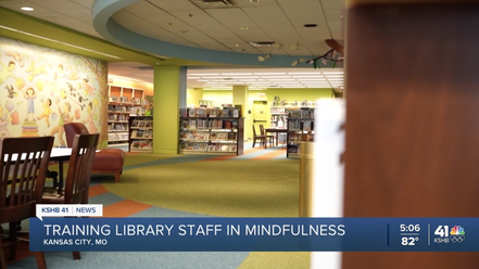 Screenshot from news report showing library