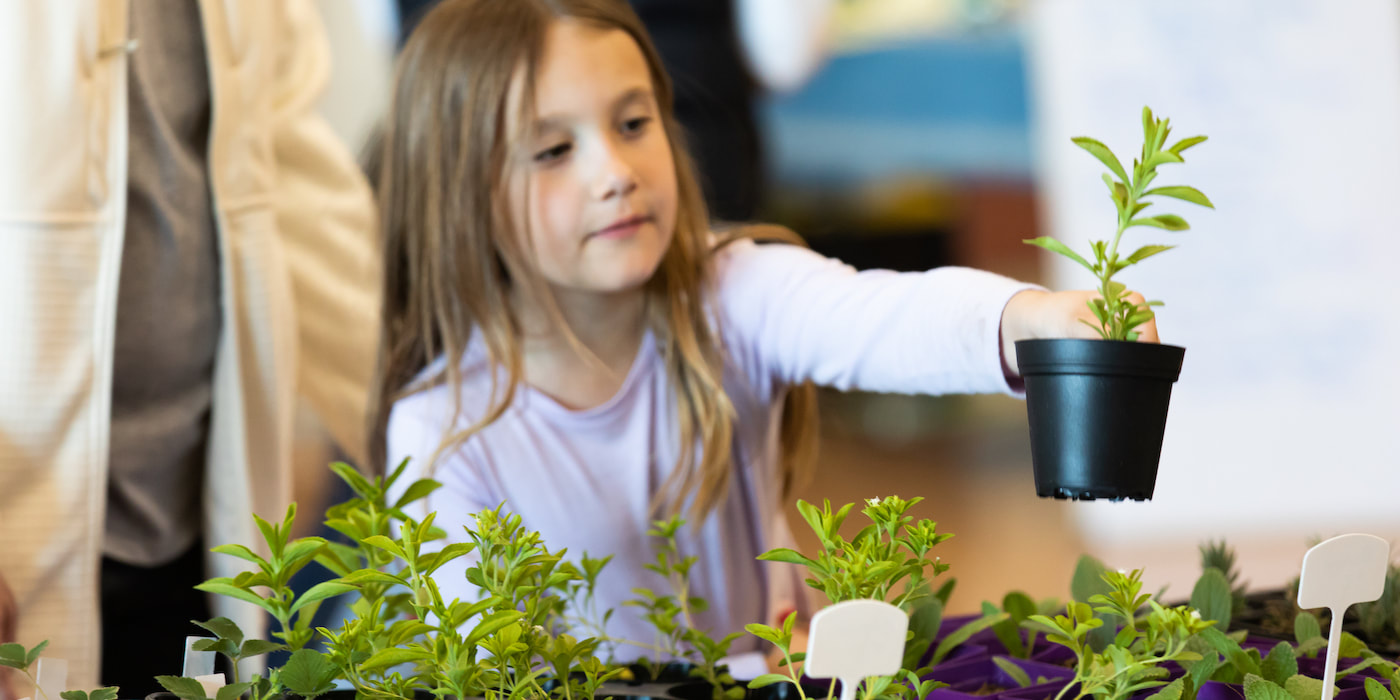 A young girl selects a seedling from a farmer's table.
