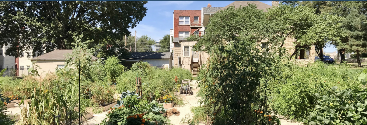 Image of a community garden with an apartment building in the background.